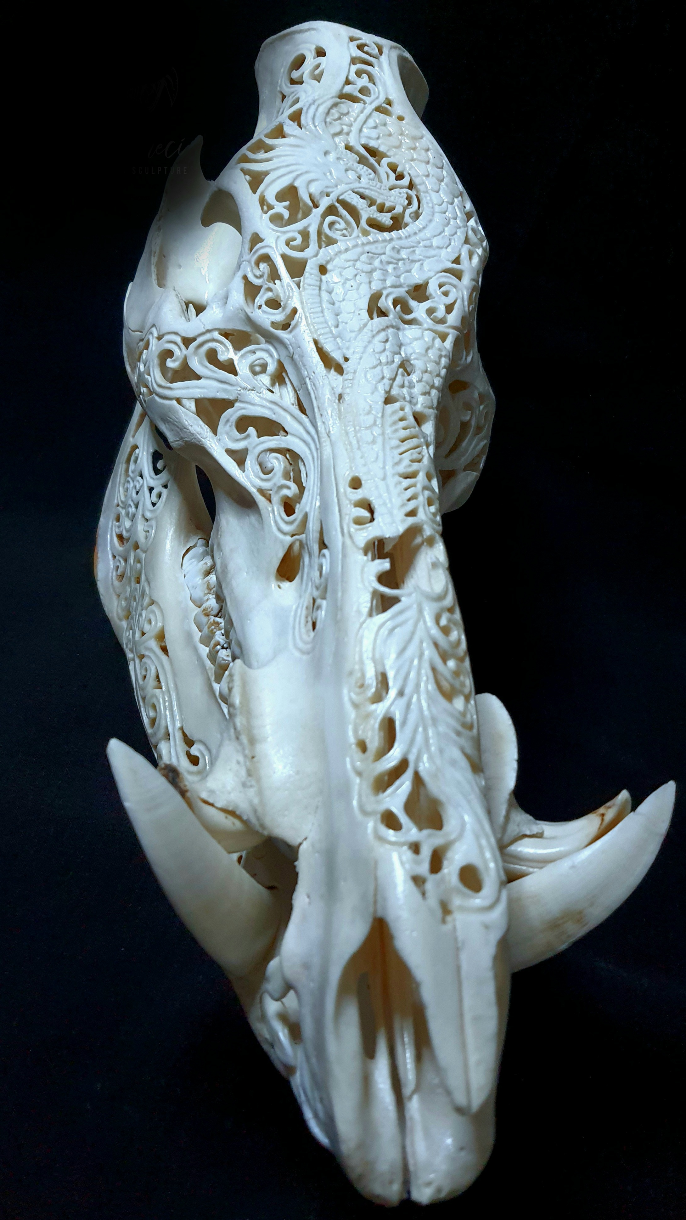 Trofeu mistreț sculptat cu motiv dragon - Alisa Staneci